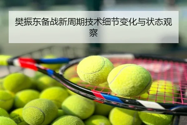 樊振东备战新周期技术细节变化与状态观察